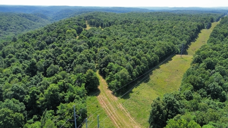 Land For Sale In Arkansas - image 9