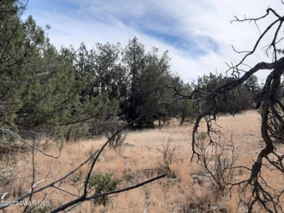 Very secluded Northern AZ property - image 3