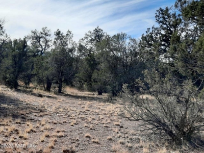 Very secluded Northern AZ property - image 6