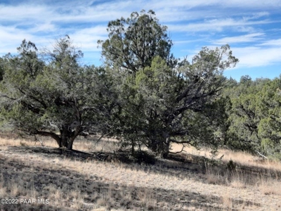 Very secluded Northern AZ property - image 5