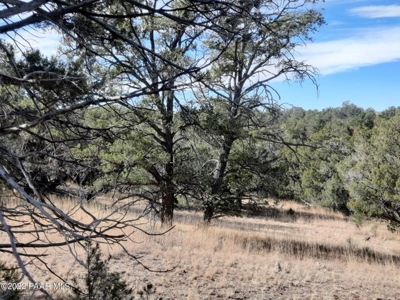 Very secluded Northern AZ property - image 4