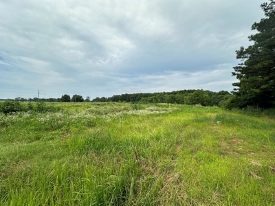 Country Home For Sale on 12.7+/- Acres in Ward, AR - image 6