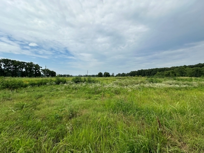Country Home For Sale on 12.7+/- Acres in Ward, AR - image 5
