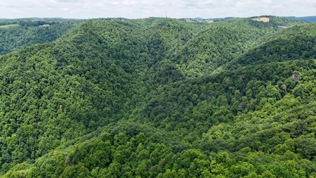 667 Acres± Of Land For Sell In Patrick County, Va - image 11