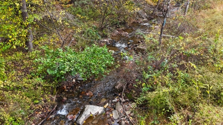 667 Acres± Of Land For Sell In Patrick County, Va - image 21