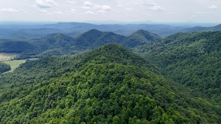 667 Acres± Of Land For Sell In Patrick County, Va - image 8