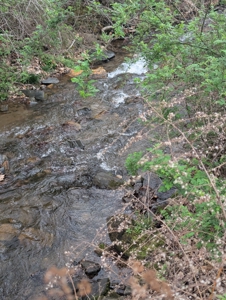 667 Acres± Of Land For Sell In Patrick County, Va - image 24