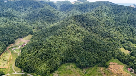 667 Acres± Of Land For Sell In Patrick County, Va - image 3