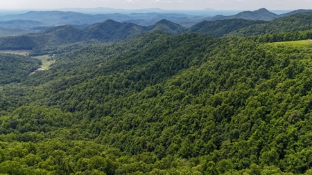 667 Acres± Of Land For Sell In Patrick County, Va - image 9
