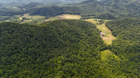 667 Acres± Of Land For Sell In Patrick County, Va - image 14