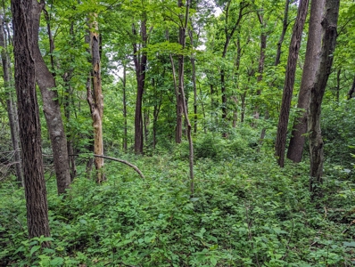 667 Acres± Of Land For Sell In Patrick County, Va - image 20