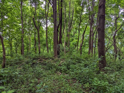 667 Acres± Of Land For Sell In Patrick County, Va - image 18