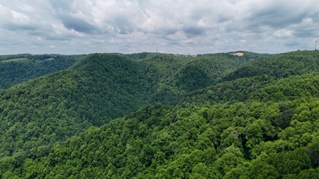 667 Acres± Of Land For Sell In Patrick County, Va - image 12