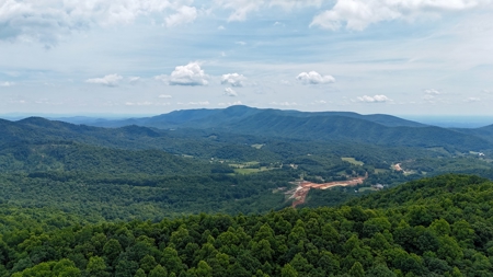 667 Acres± Of Land For Sell In Patrick County, Va - image 13