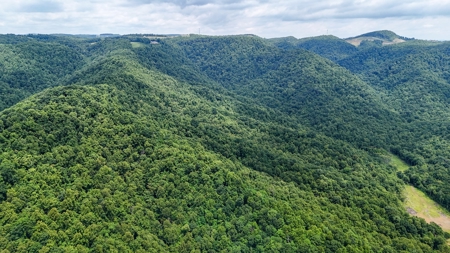 667 Acres± Of Land For Sell In Patrick County, Va - image 5