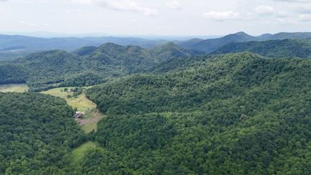 667 Acres± Of Land For Sell In Patrick County, Va - image 15