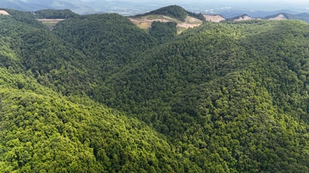 667 Acres± Of Land For Sell In Patrick County, Va - image 16