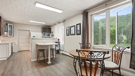 Historic Executive Estate For Sale Richland Center WI - image 19