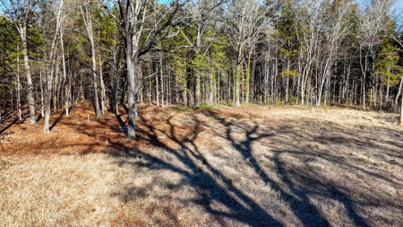 Prime 11-Acre Commercial Lot: Ideal Location in Boydton, VA - image 8