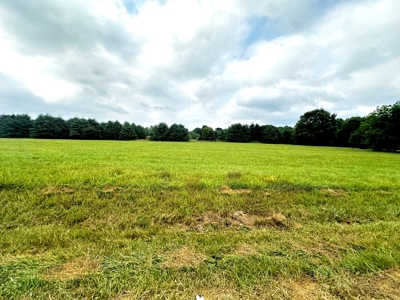 Home in Alexander County on +/- 31.26 Acres - image 14