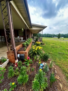 Home in Alexander County on +/- 31.26 Acres - image 9