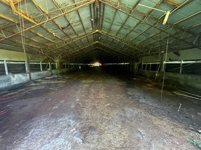 Home in Alexander County on +/- 31.26 Acres - image 37