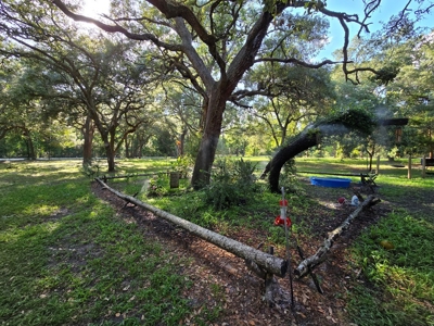 Cypress home, acreage, Levy County, Florida, Suwannee River - image 10