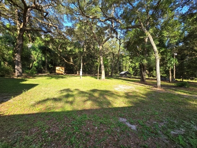 Cypress home, acreage, Levy County, Florida, Suwannee River - image 11