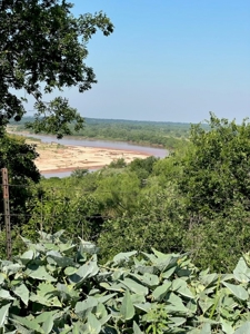 Land For Sale Red River Frontage Cotton County Oklahoma - image 11