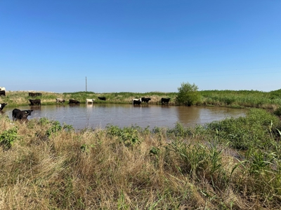 Land For Sale Red River Frontage Cotton County Oklahoma - image 18