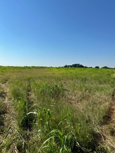 Land For Sale Red River Frontage Cotton County Oklahoma - image 5