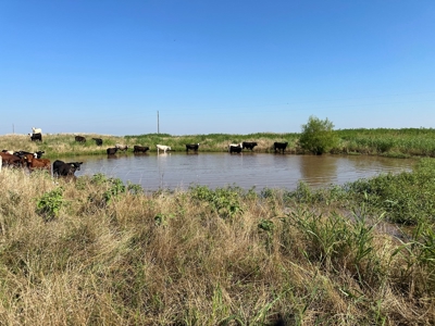 Land For Sale Red River Frontage Cotton County Oklahoma - image 16
