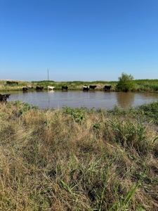 Land For Sale Red River Frontage Cotton County Oklahoma - image 17
