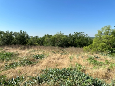 Land For Sale Red River Frontage Cotton County Oklahoma - image 9
