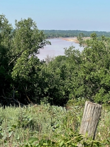 Land For Sale Red River Frontage Cotton County Oklahoma - image 6