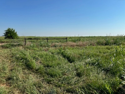 Land For Sale Red River Frontage Cotton County Oklahoma - image 3