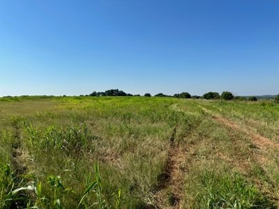 Land For Sale Red River Frontage Cotton County Oklahoma - image 4