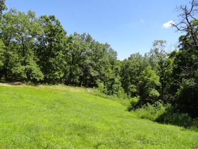 2021 Earth Contact  Home On 2.5 Acres - image 38