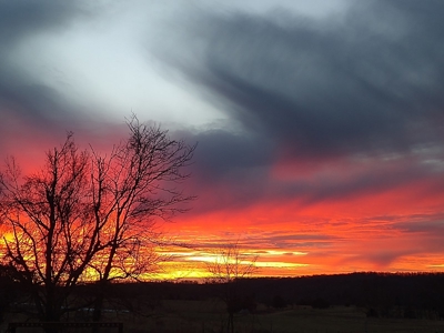 450 Acre Ranch with Live Water in Ava, Douglas County MO - image 36