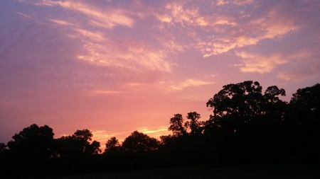 450 Acre Ranch with Live Water in Ava, Douglas County MO - image 23