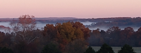 450 Acre Ranch with Live Water in Ava, Douglas County MO - image 34
