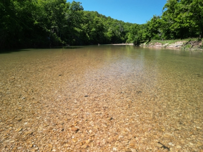 450 Acre Ranch with Live Water in Ava, Douglas County MO - image 43