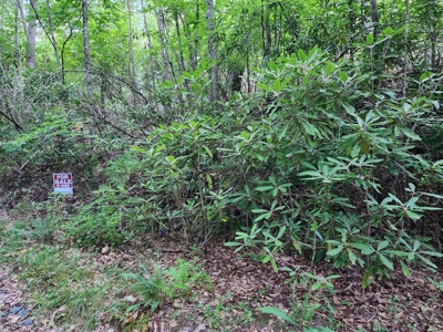 3 Land lots combined to +/- 0.9 Acres near New River - image 14