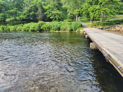 3 Land lots combined to +/- 0.9 Acres near New River - image 9