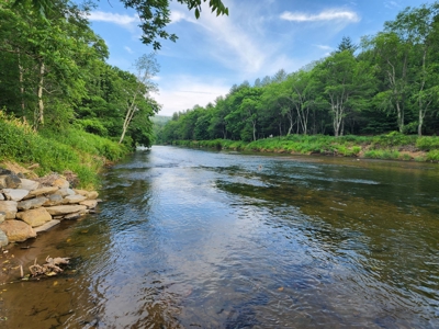 3 Land lots combined to +/- 0.9 Acres near New River - image 5