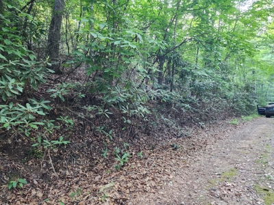 3 Land lots combined to +/- 0.9 Acres near New River - image 10