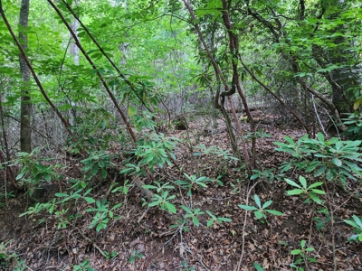 3 Land lots combined to +/- 0.9 Acres near New River - image 12