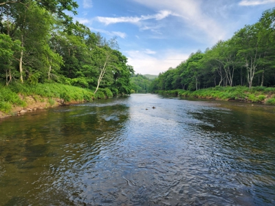 3 Land lots combined to +/- 0.9 Acres near New River - image 8