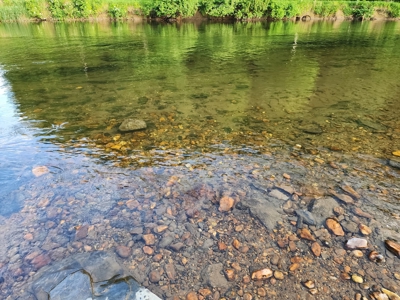 3 Land lots combined to +/- 0.9 Acres near New River - image 20