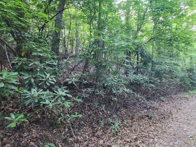 3 Land lots combined to +/- 0.9 Acres near New River - image 11